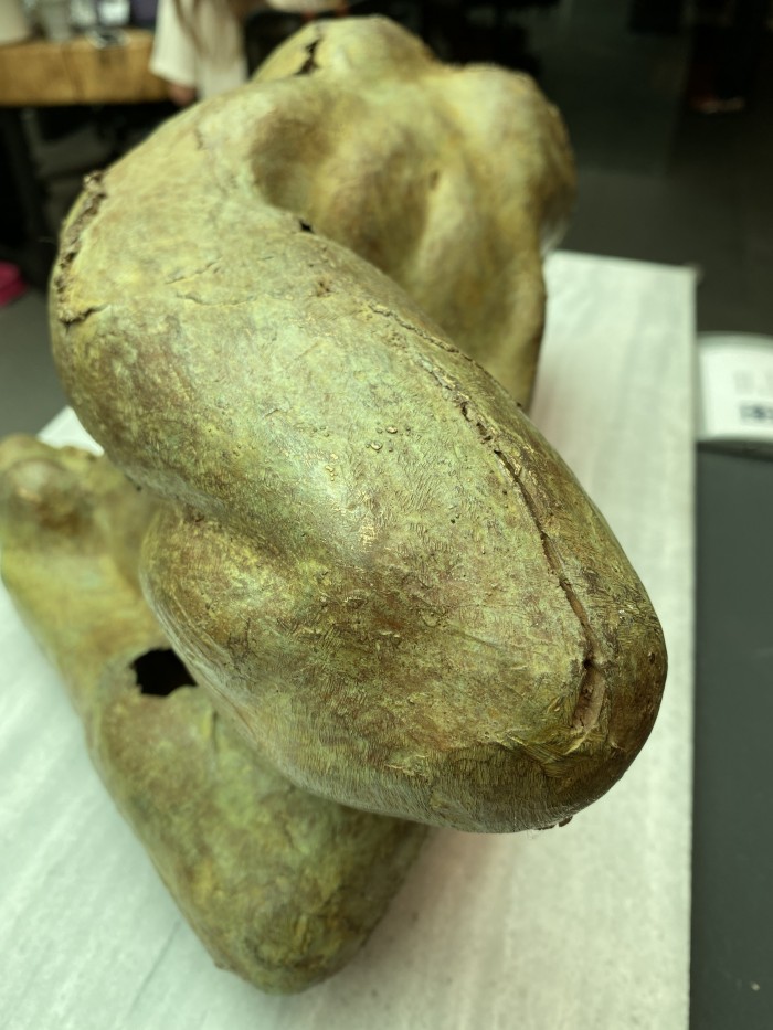 Torso Invertido