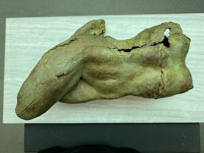 Torso Invertido