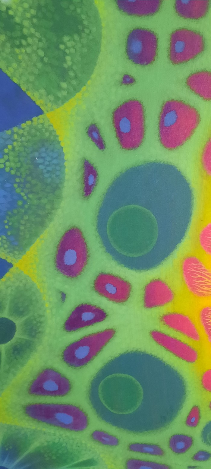 El universo del Xipe Totec