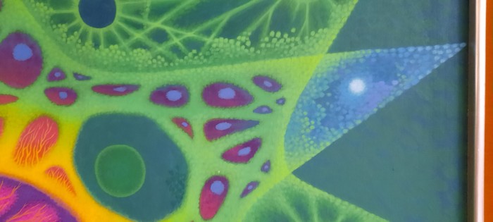 El universo del Xipe Totec