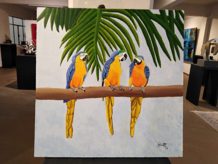 Guacamayas Amarillas con Azul