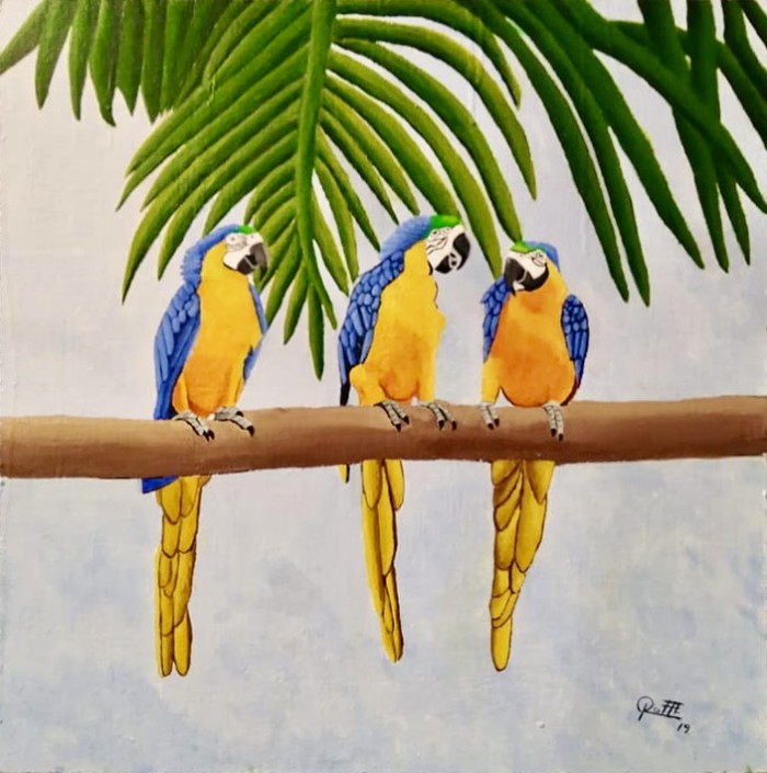 Guacamayas Amarillas con Azul