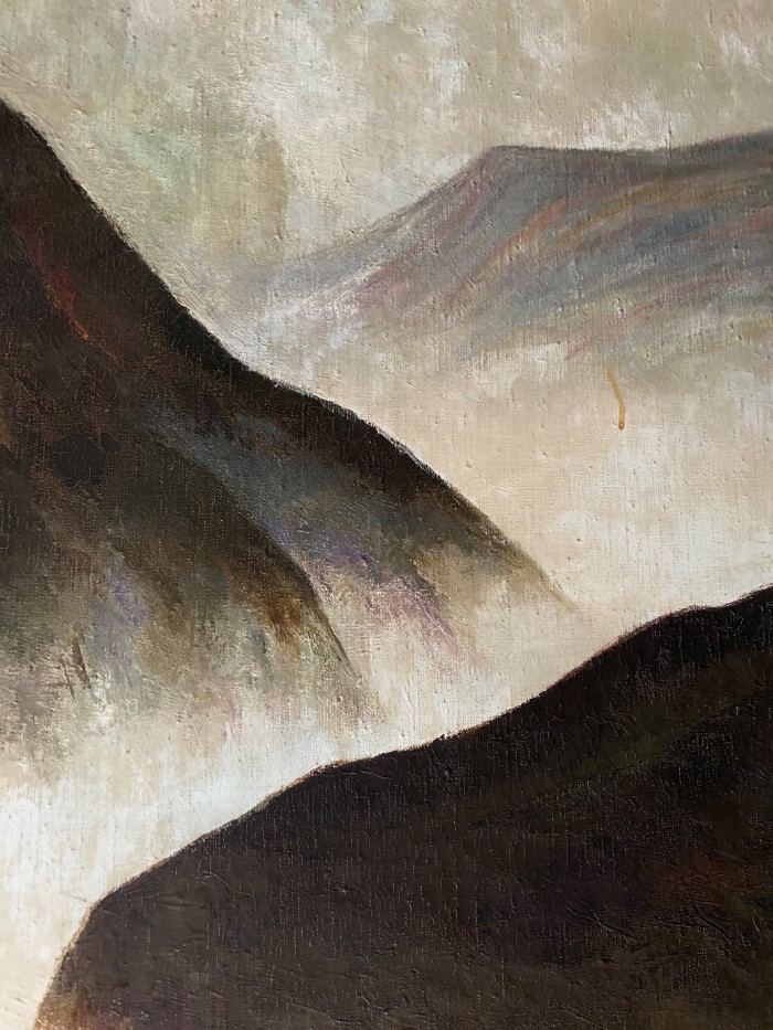 La Cañada de Contreras