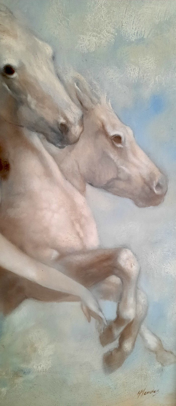 Belleza con caballos