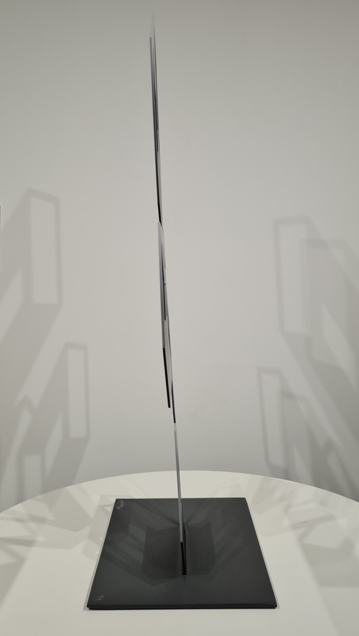 Alegre Perspectiva Gris L