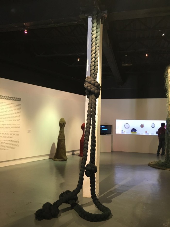 Intertwined in Black & Blue