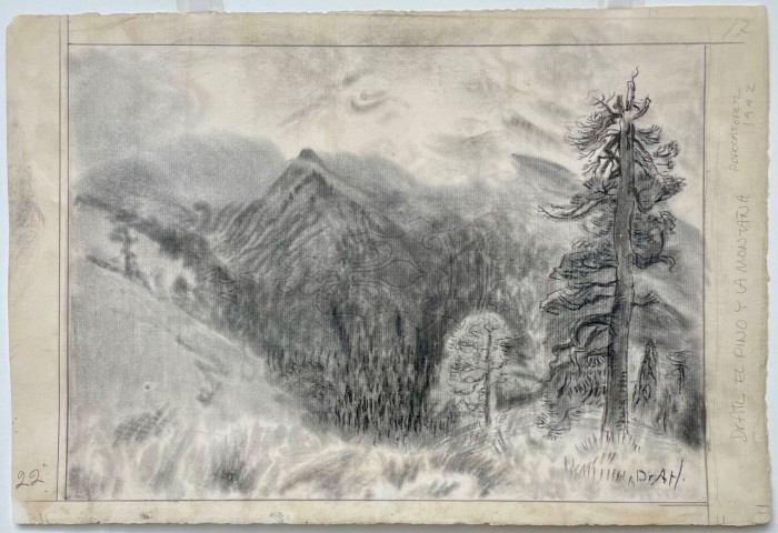 El Pino y la Montaña
