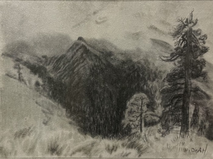 El Pino y la Montaña