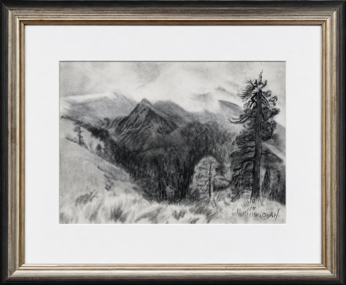 El Pino y la Montaña