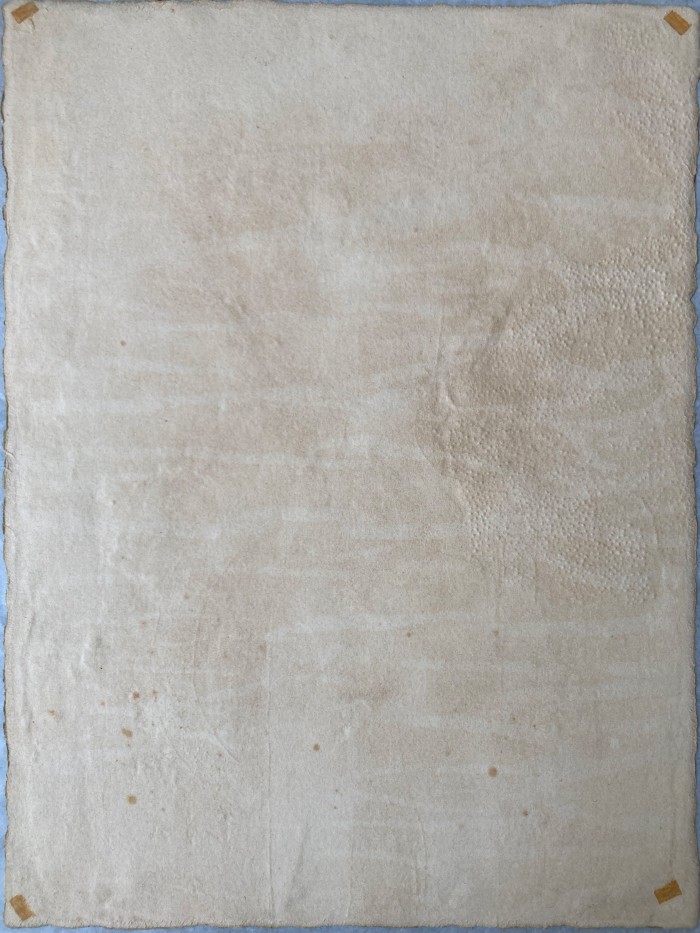 Figura sobre fondo Rosa y Verde