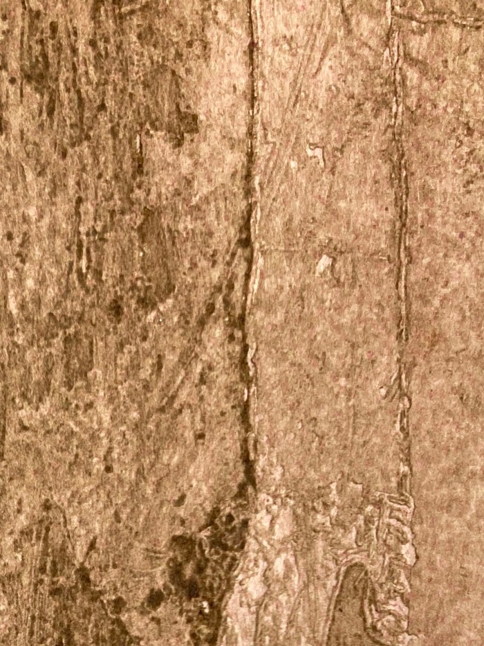 Figura sobre fondo Rosa y Verde