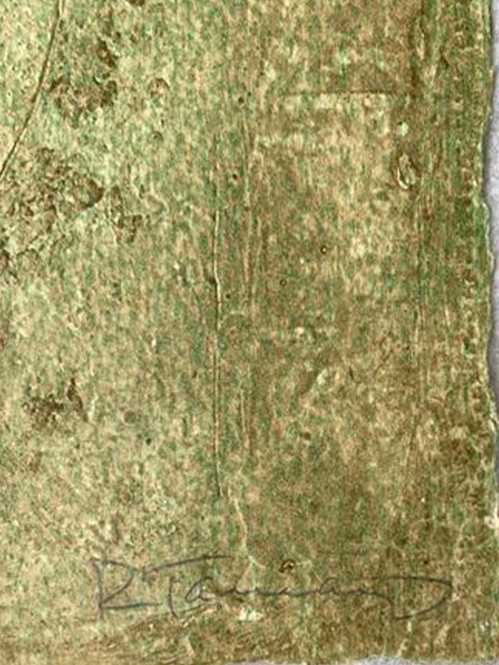 Figura sobre fondo Rosa y Verde