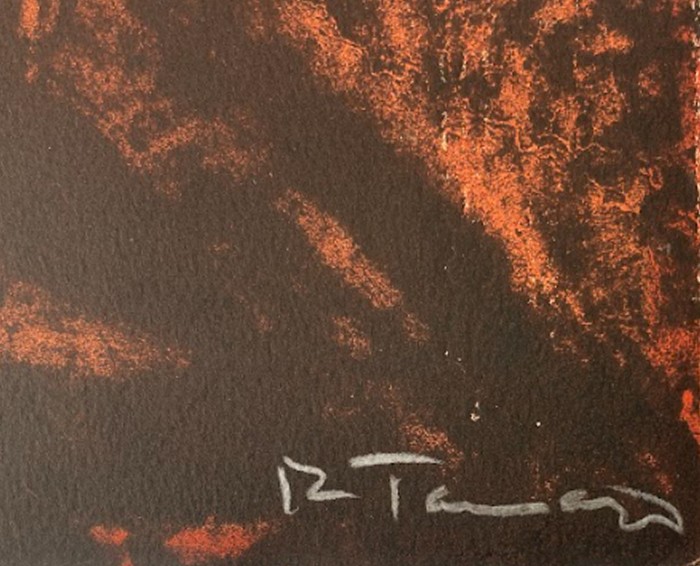 Hombre en Fondo Verde