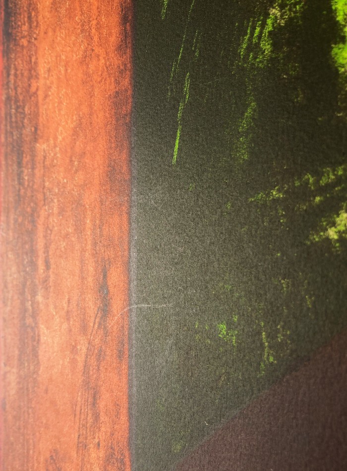 Hombre en Fondo Verde