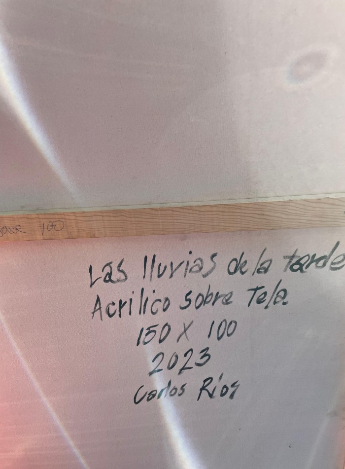 Las Lluvias de la Tarde