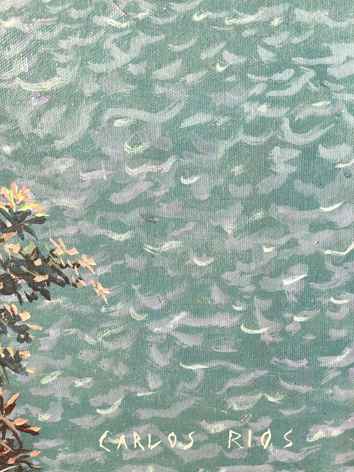 Las Lluvias de la Tarde