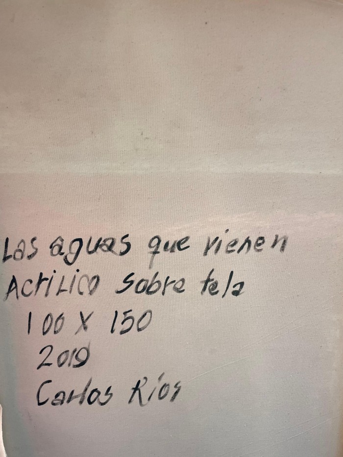 Las Aguas que Vienen