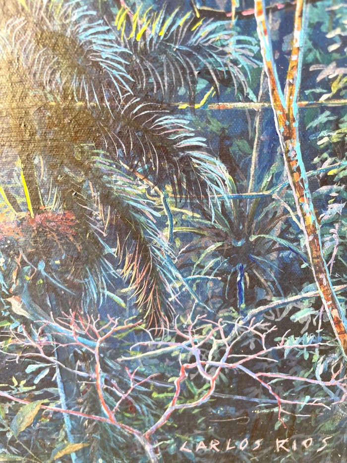 Amanecer en la Cascada