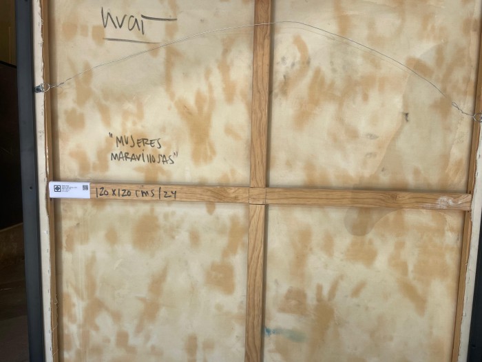 Mujeres Maravillosas