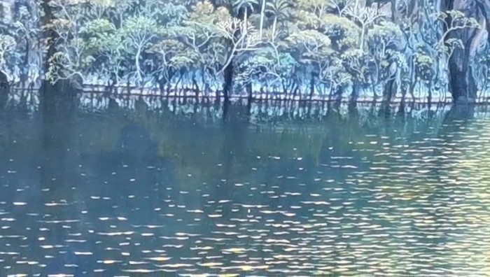 Divina Tarde sobre el Mogote