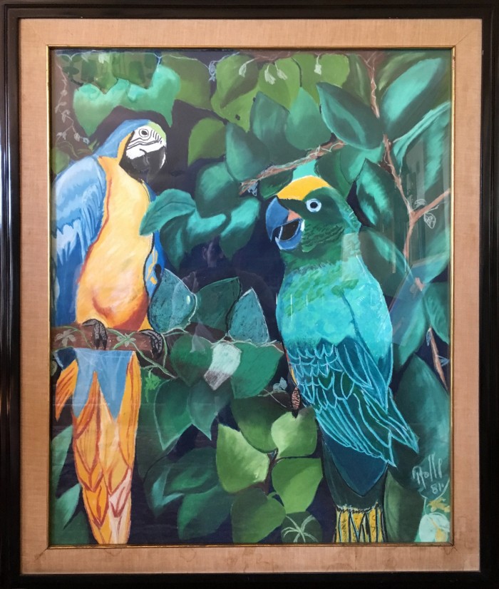 Guacamayas